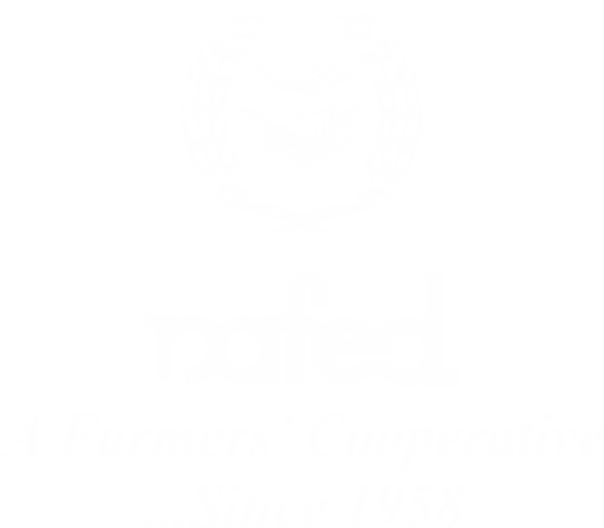 nafed logo